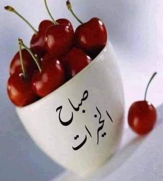حقيبة ظهر_image_0